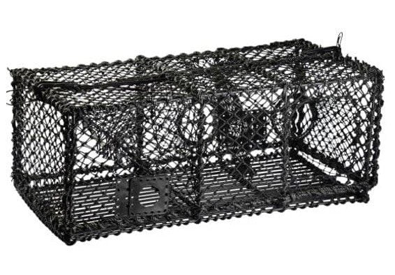 Hummerteine 10 kg. rektangulær