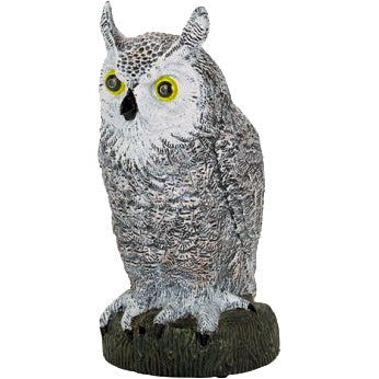 Måkejager Ugle - Harold Hoot