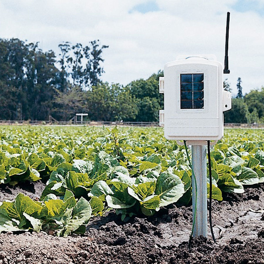 Blad, jordfuktighet/temperatur stasjon