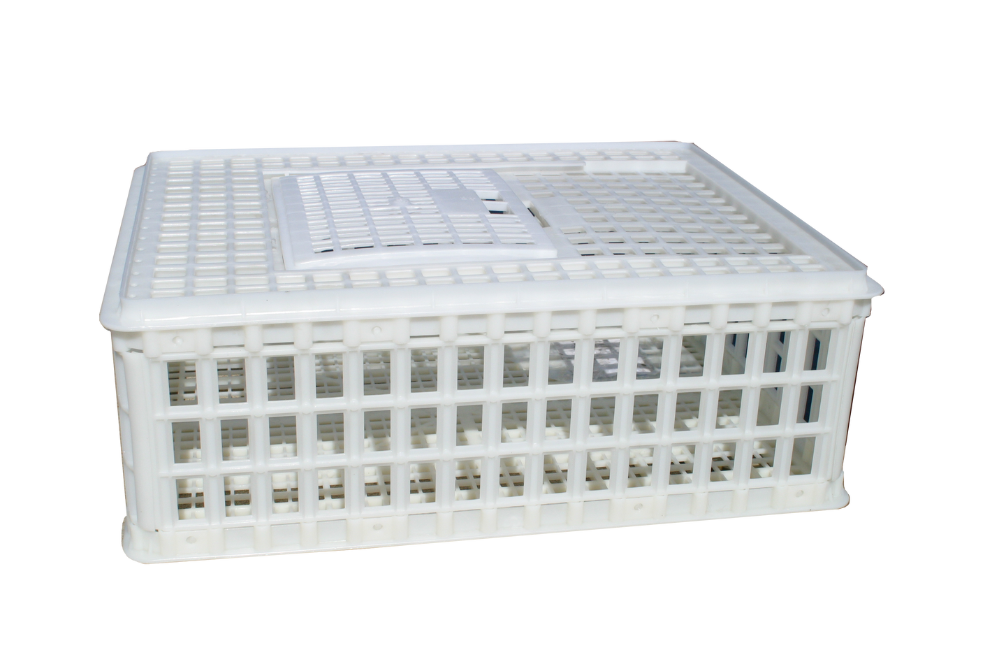 Sanketeine plast 75 x 55 x 26 cm